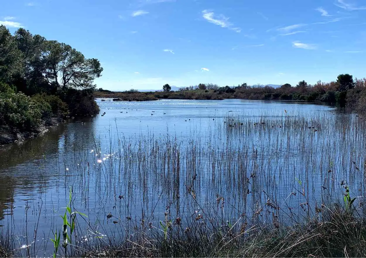 The Albufera lagoon outside Valencia